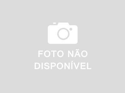 Terapia com Cães: Conexão e Cura na Saúde Mental